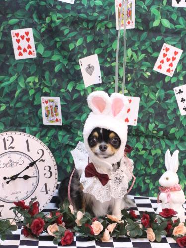 20250401天ちゃん